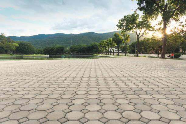 Best Local Driveway Pavers  in Liberty, TX